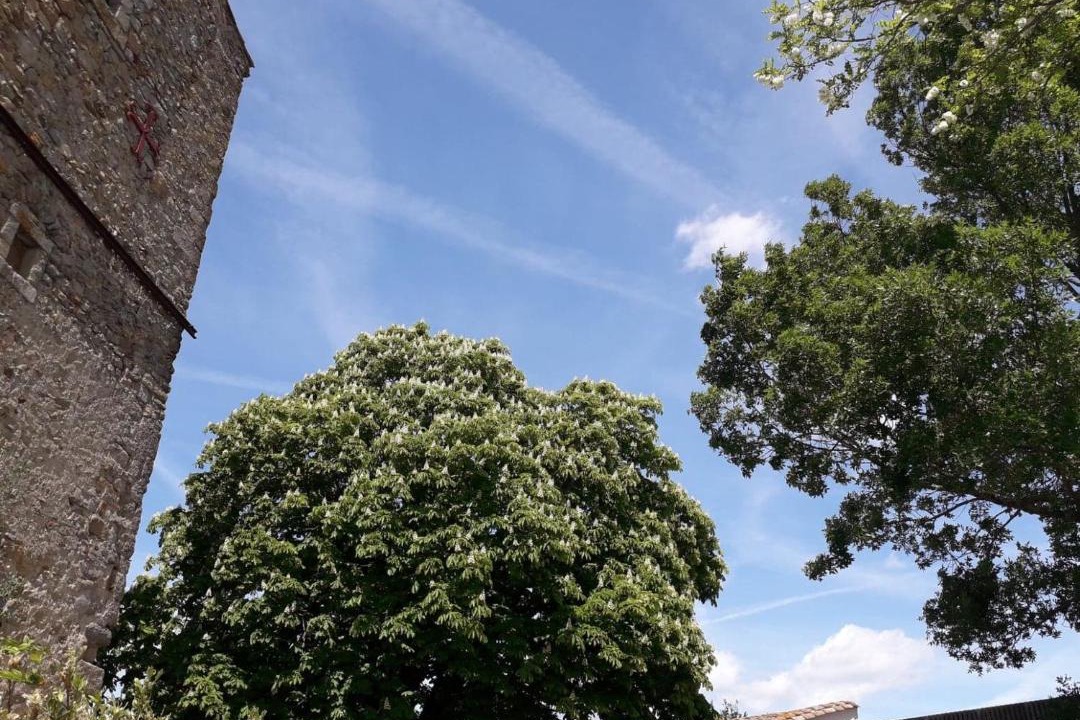 Photo of Others in Pieusse