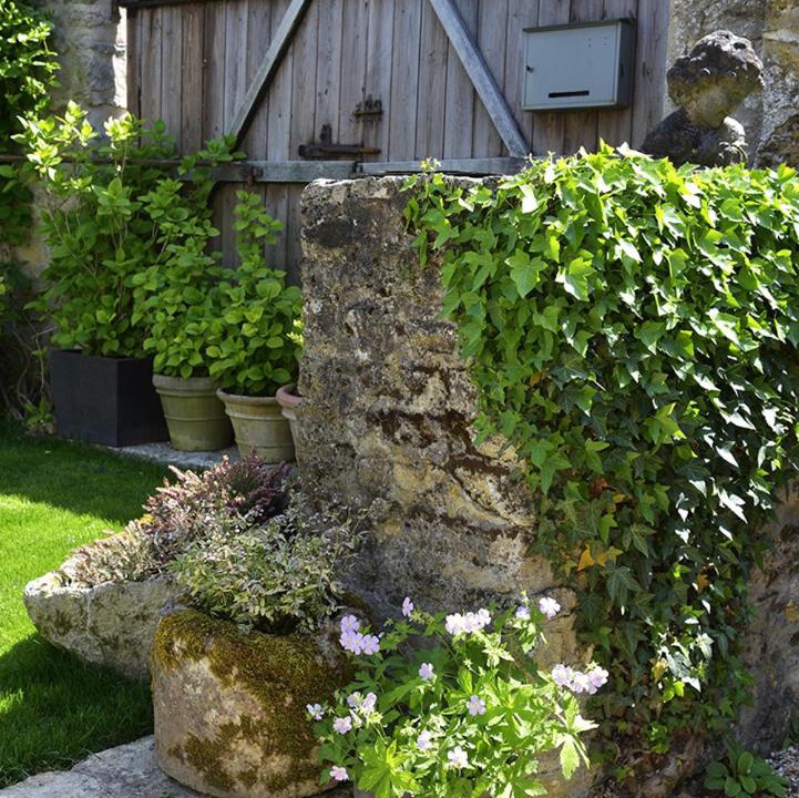 Photo of Others in Cherence