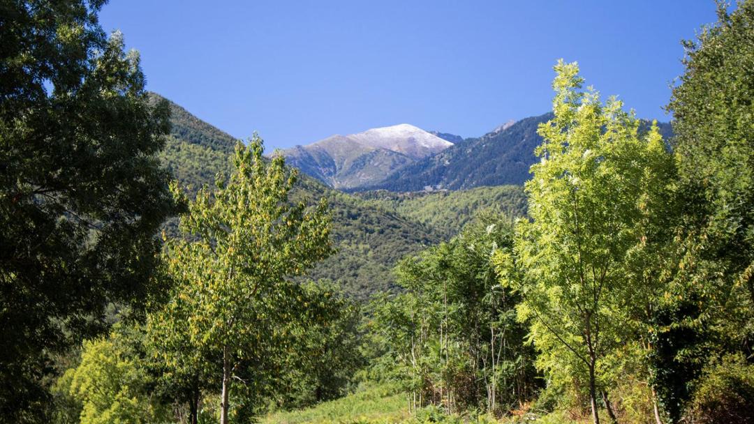 Photo of Outdoor in Marquixanes