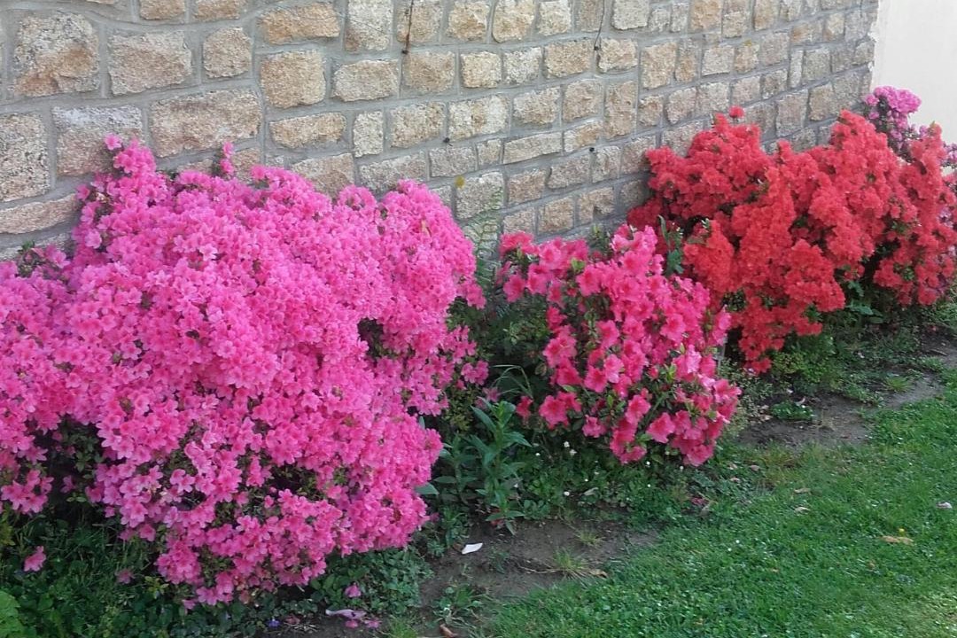 Photo of Outdoor in Pleine-Fougeres