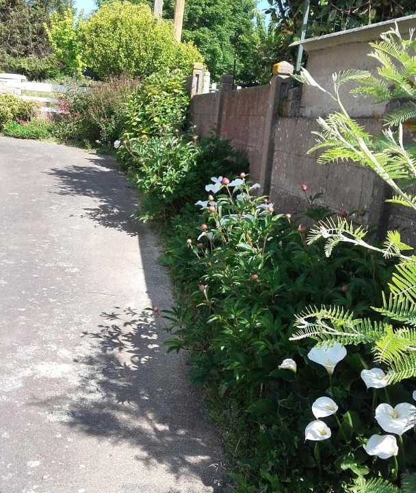 Photo of Outdoor in Pleine-Fougeres