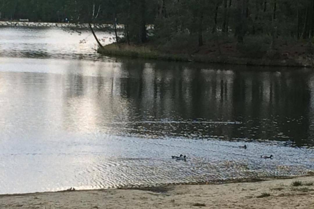 Photo of Others in Montendre