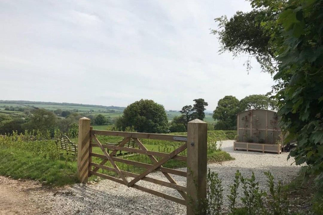 Photo of Others in Tavistock