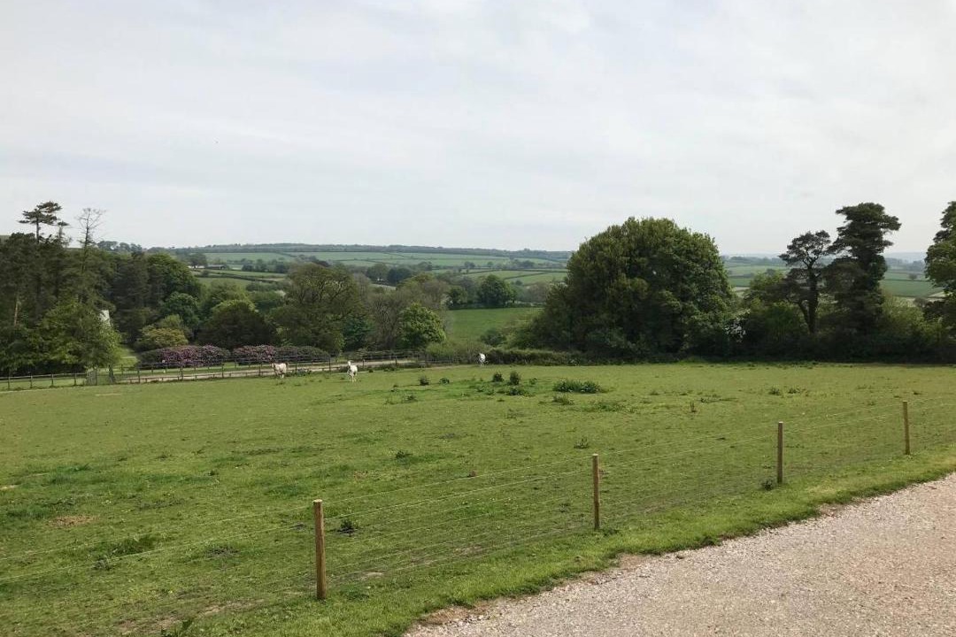 Photo of Others in Tavistock