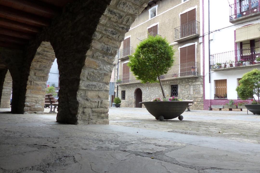 Photo of Others in Campo