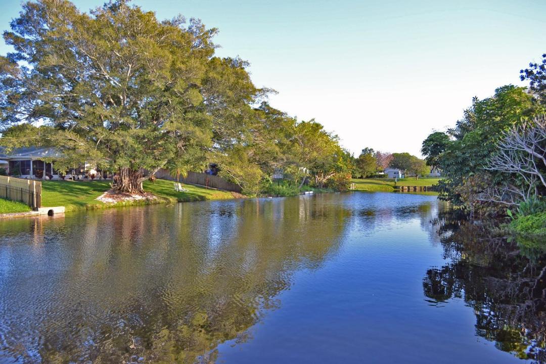 Photo of Others in Palma Sola