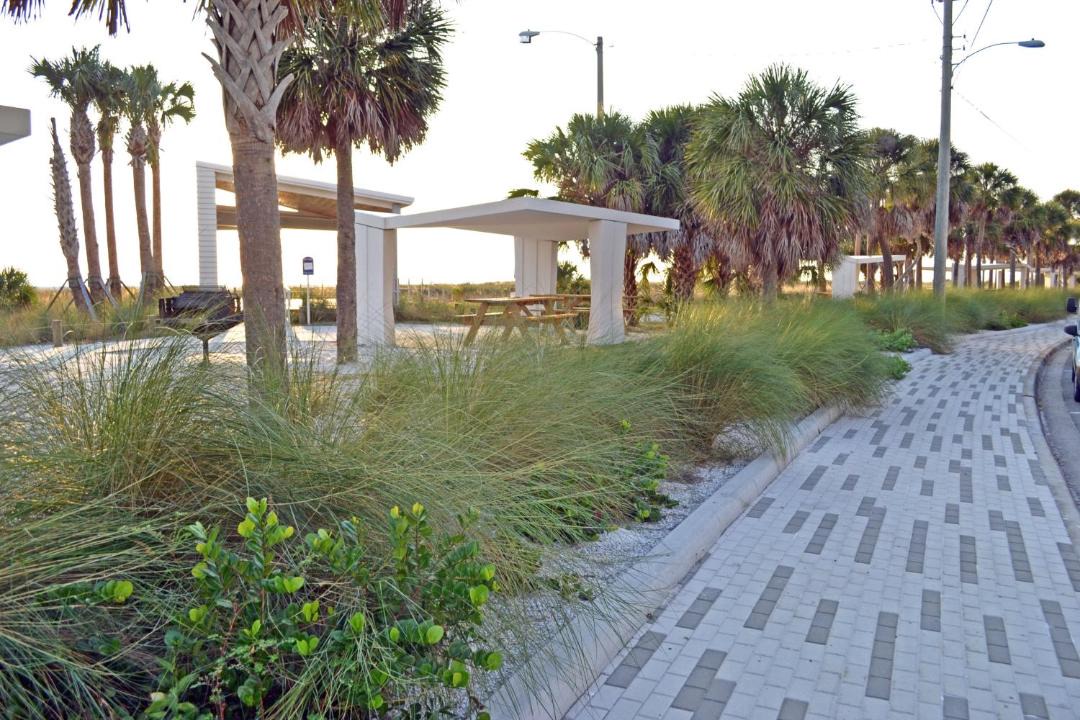 Photo of Others in Siesta Key