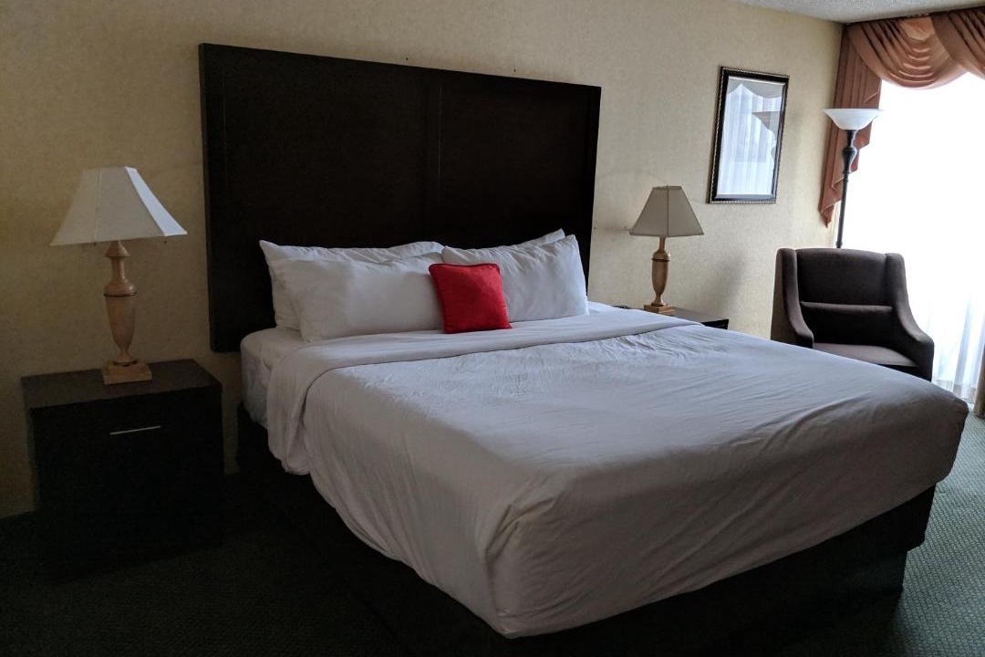 Photo of Others in Kelso