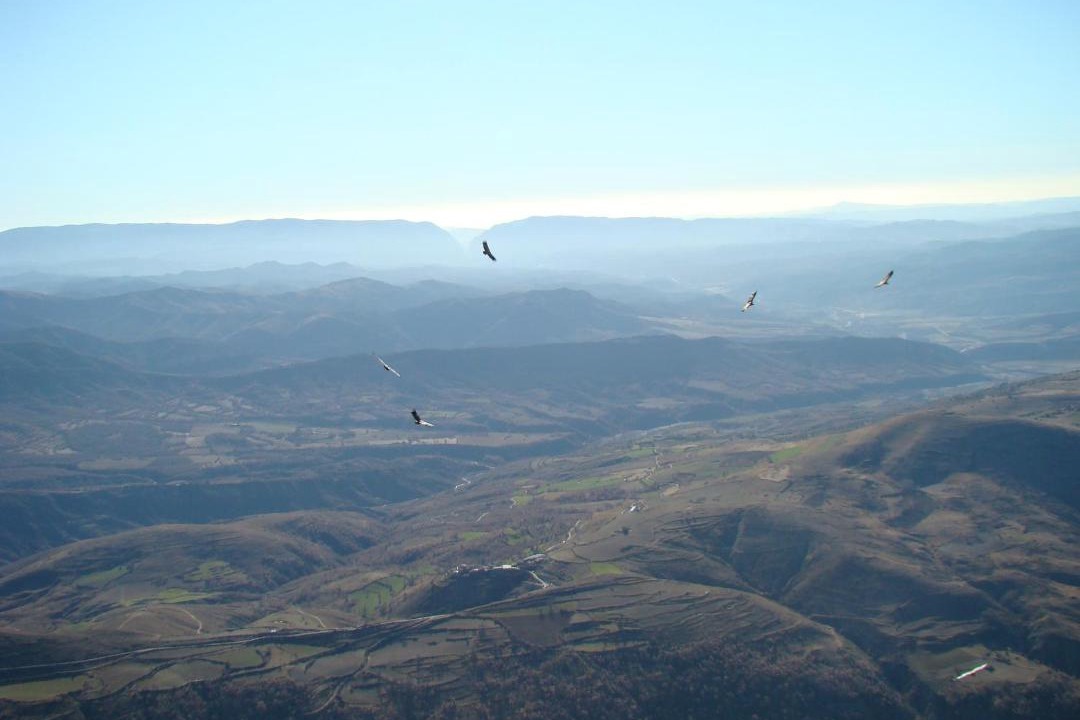 Photo of Others in Sobrecastell