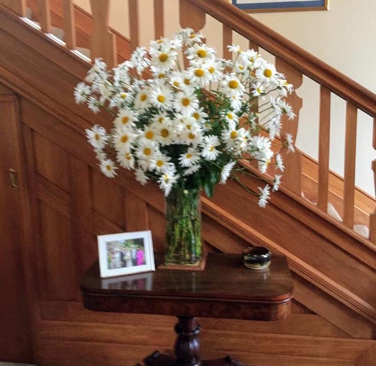 Photo of Others in Wellington