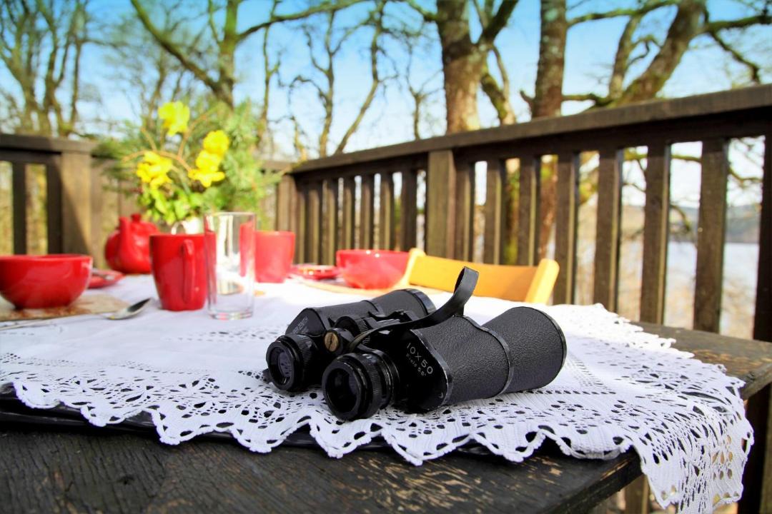 Photo of Patio Balcony in Dallavich