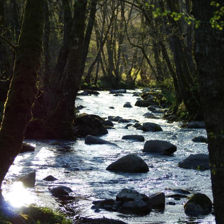 Photo of Others in La Tour-dʼAuvergne