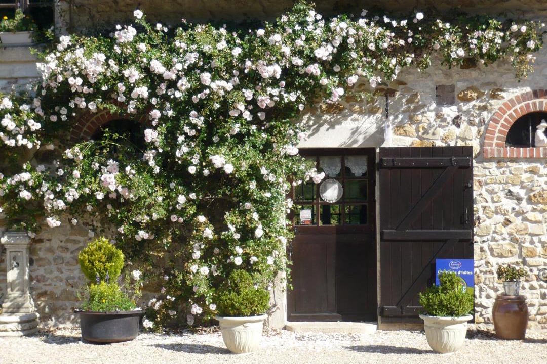 Photo of Others in Vouzeron