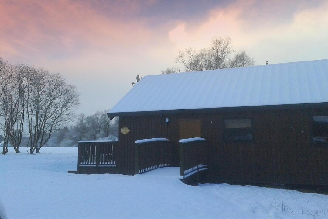 Photo of Others in Dallavich