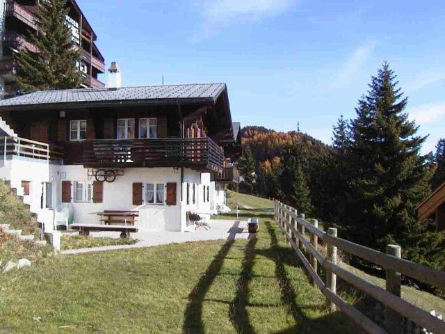 Photo of Others in Riederalp