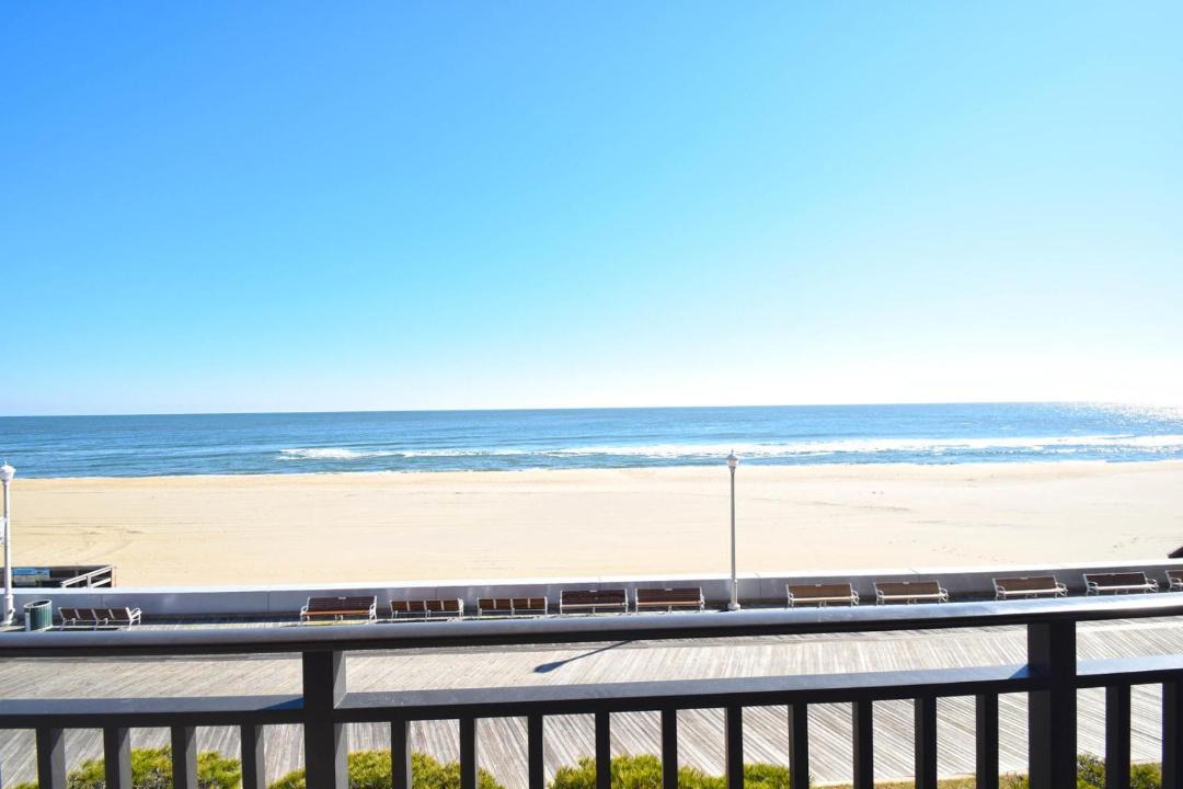 Photo of Others in Quantico