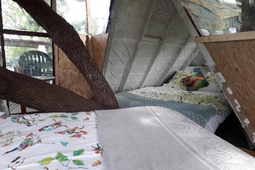 Photo of Others in Mones