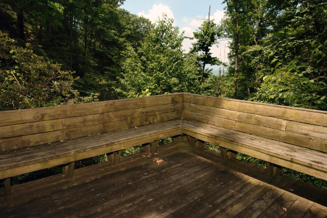 Photo of Others in Smoky Mountains
