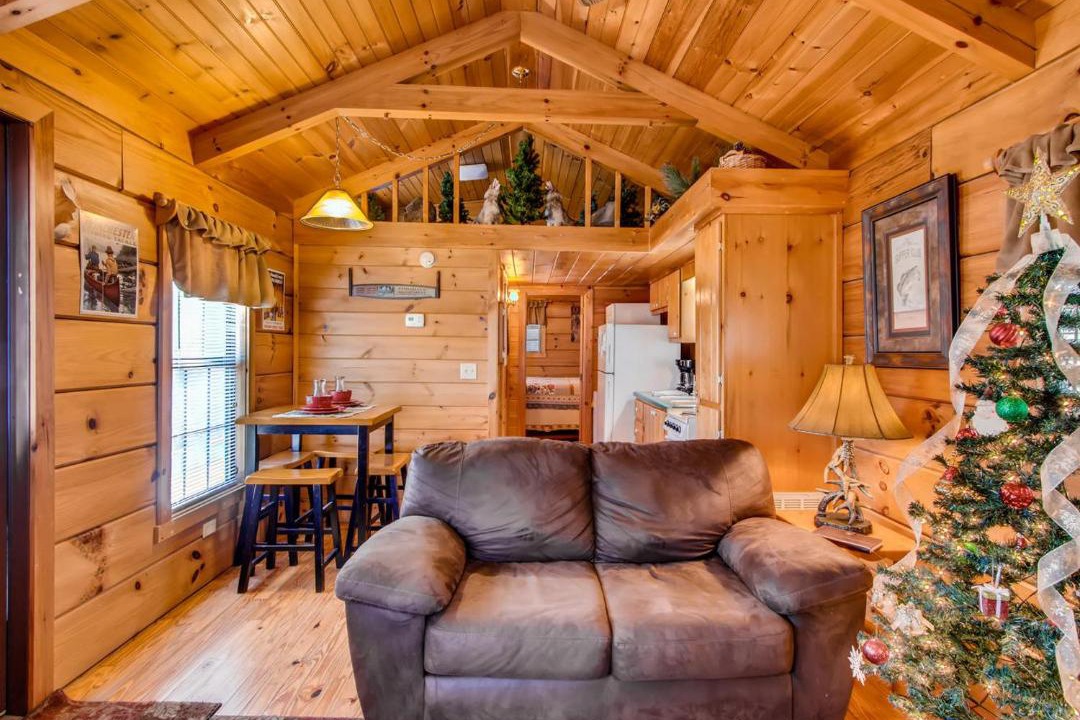 Photo of Livingroom in Wears Valley