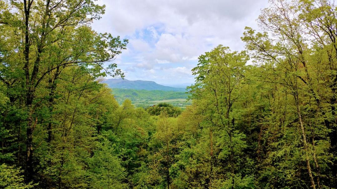Photo of Outdoor in Smoky Mountains