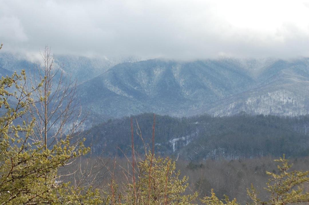 Photo of Outdoor in Cosby