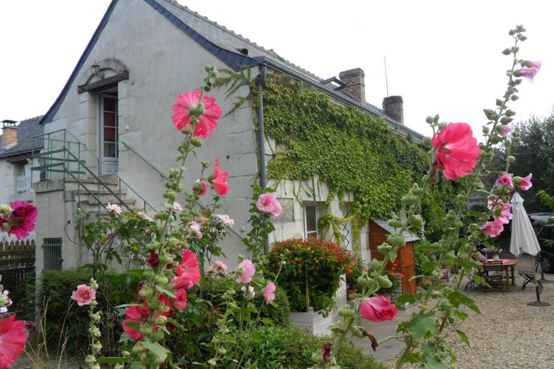 Photo of Others in Cheille