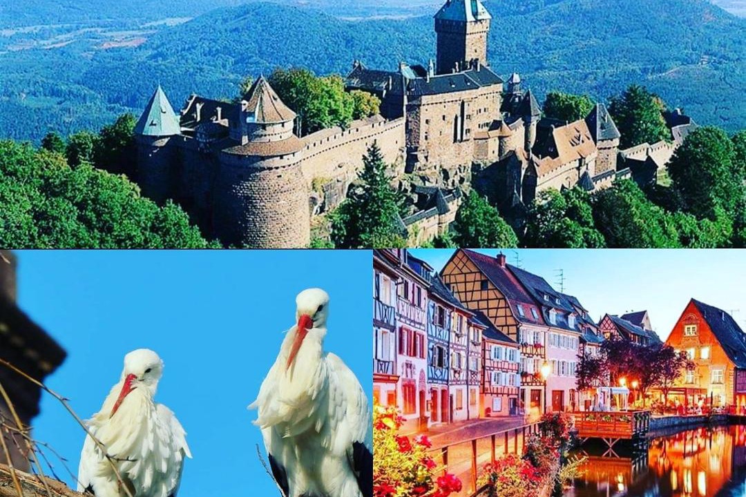 Photo of Others in Selestat