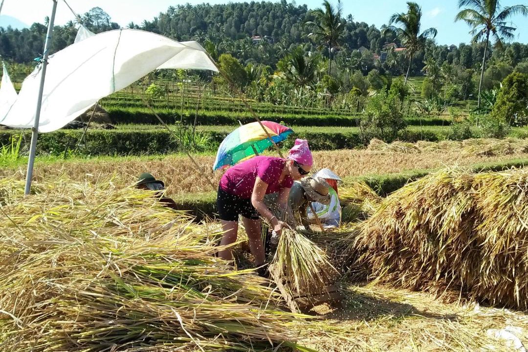 Photo of Others in Munduk
