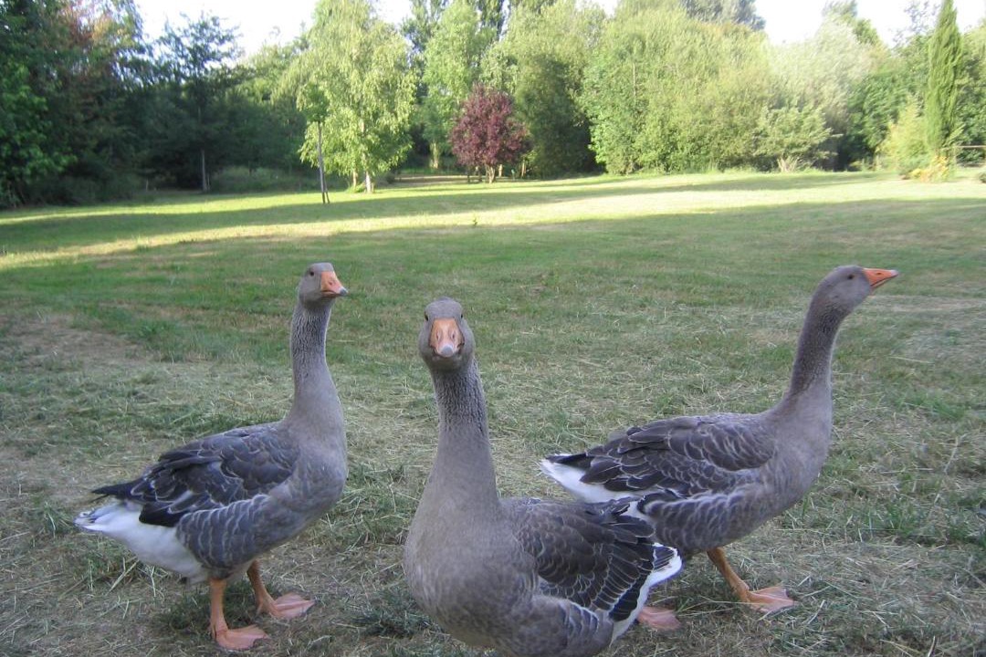 Photo of Others in Ouchamps