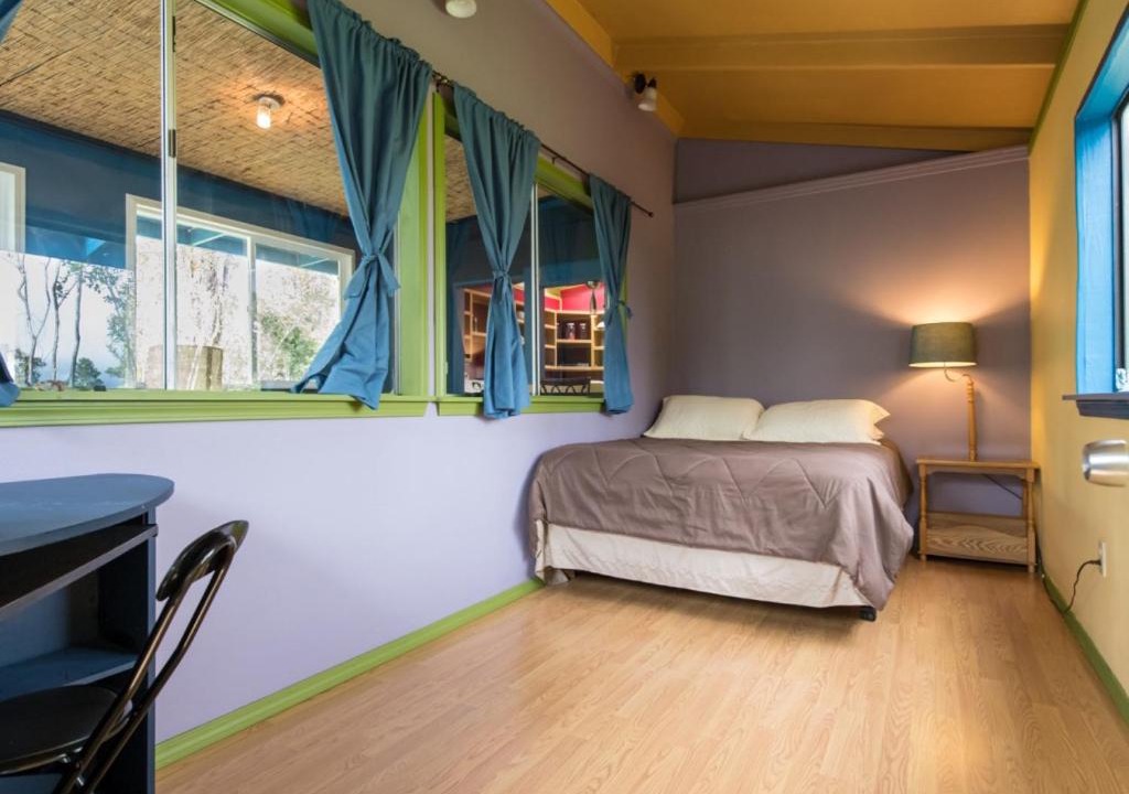 Photo of Others in Fern Forest