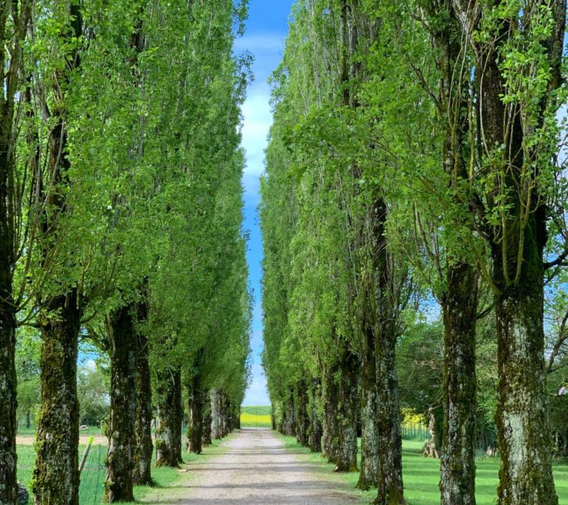 Photo of Others in Chevigny