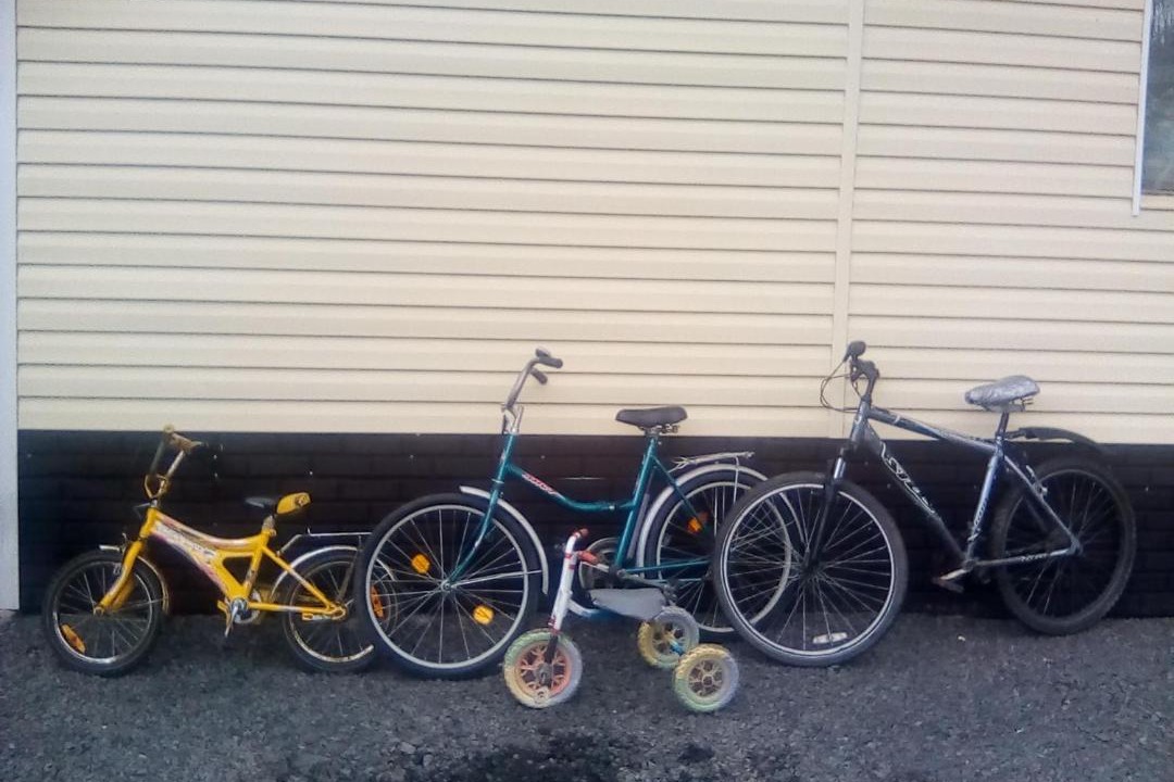 Photo of Others in Petrovsky