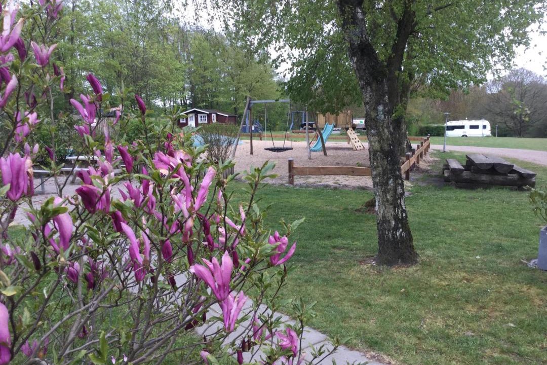 Photo of Others in Egtved