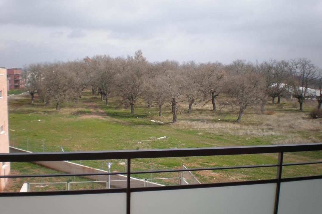 Photo of Others in Ciruena