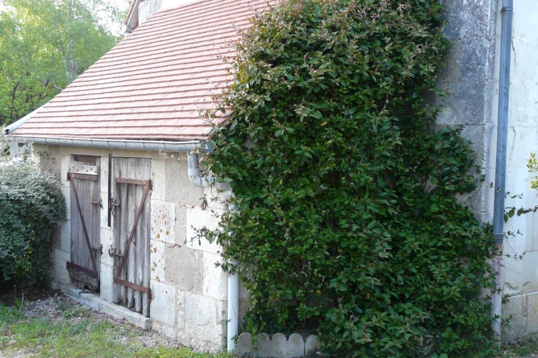 Photo of Buildings in Saint-Aignan