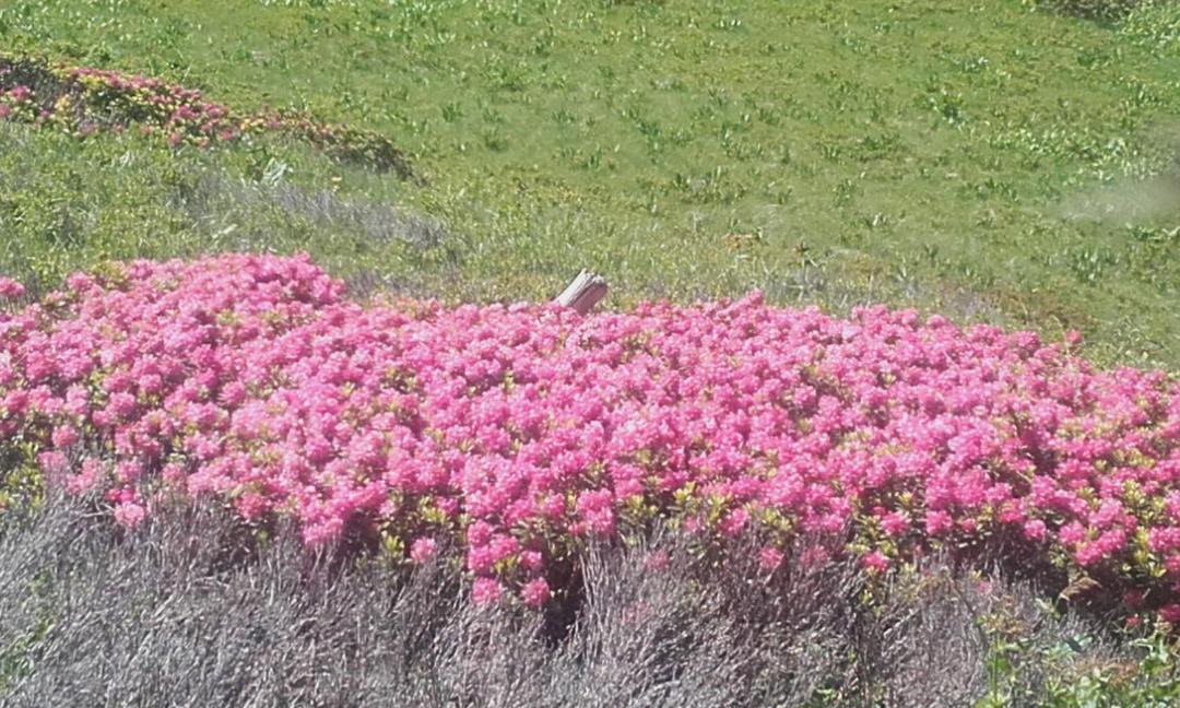 Photo of Others in Theys