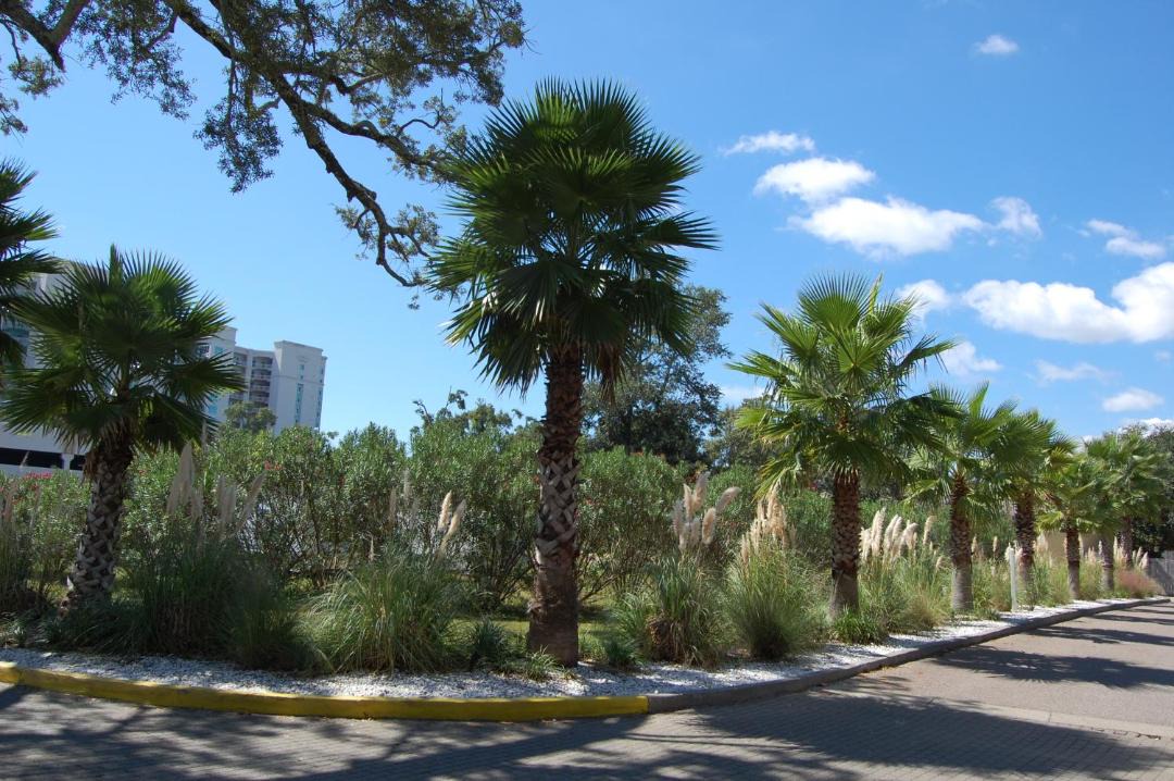 Photo of Others in Gulfport