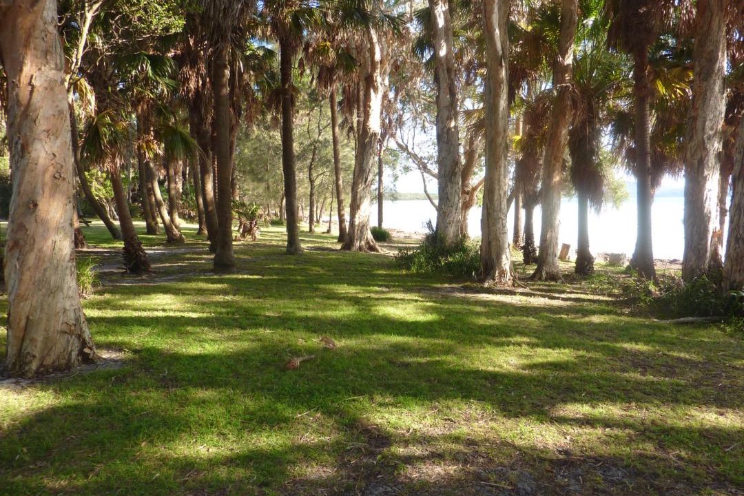 Photo of Others in Forster