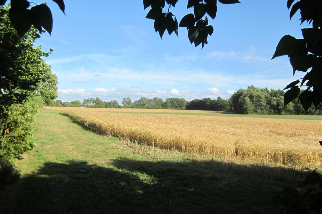 Photo of Others in Flodstrup