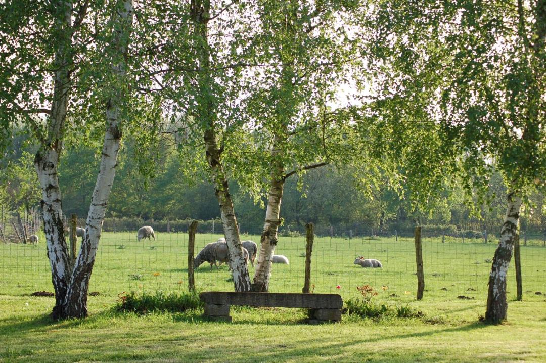 Photo of Others in Mervans