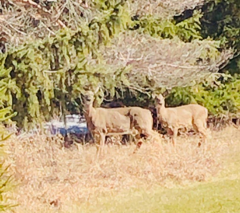 Photo of Others in Egg Harbor