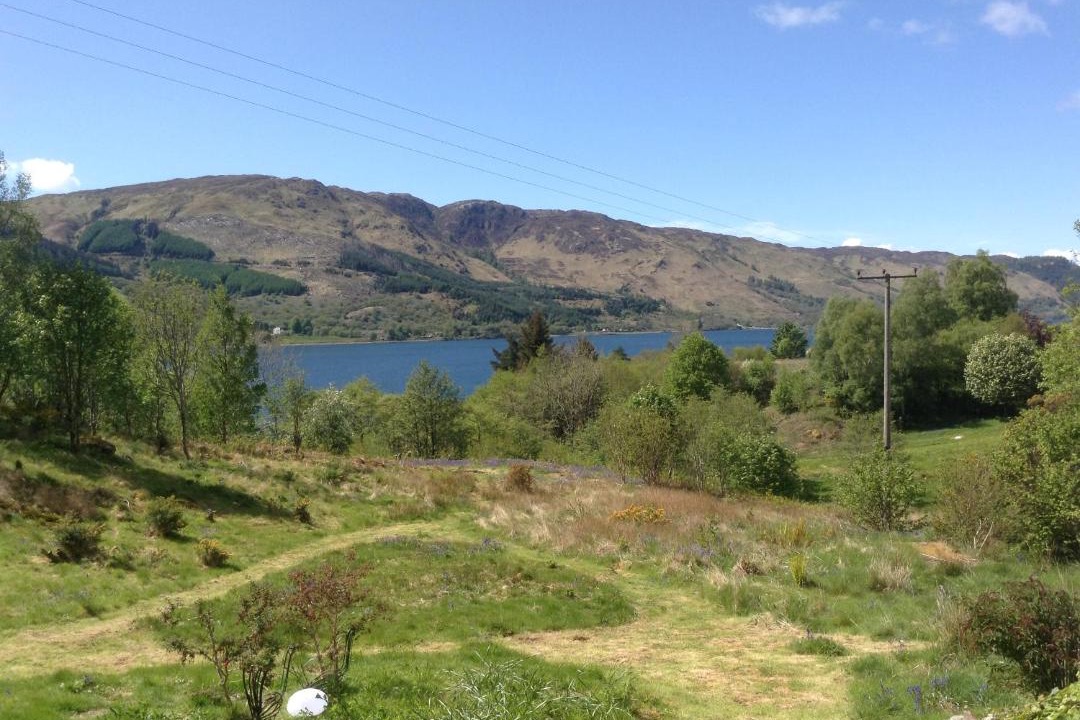 Photo of Others in Kyle