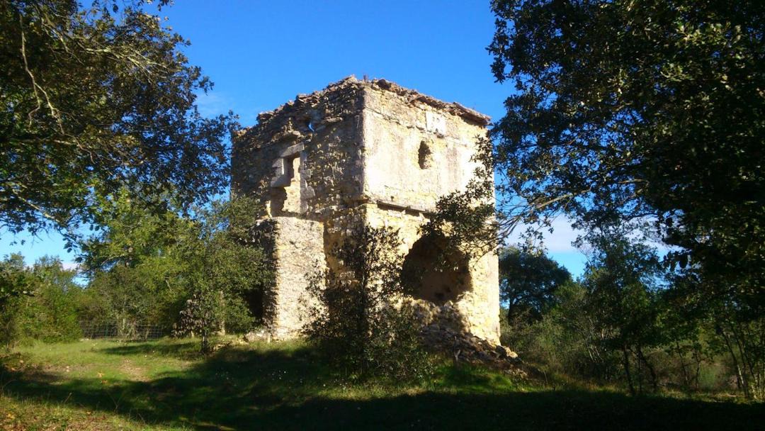 Photo of Others in Saint-Victor-de-Malcap