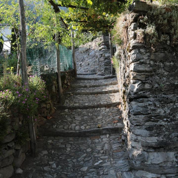 Photo of Others in Verdabbio