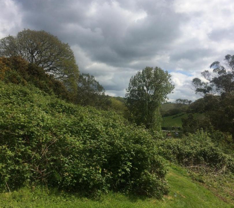 Photo of Others in Bude