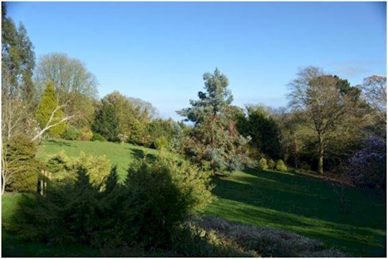 Photo of Outdoor in Ebford