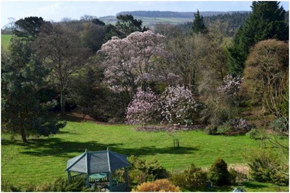 Photo of Others in Ebford