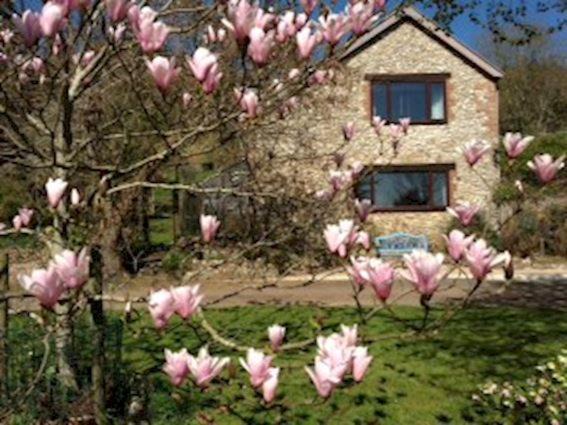 Photo of Buildings in Ebford
