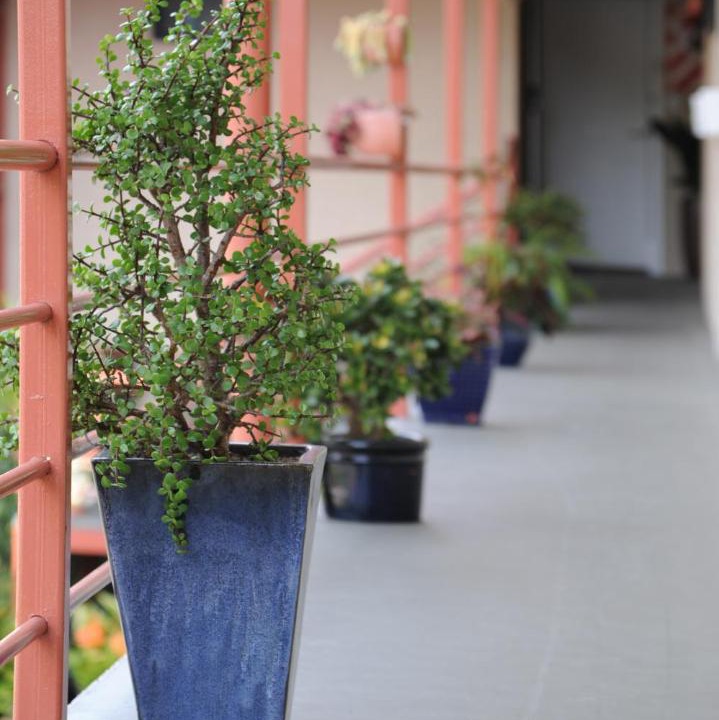 Photo of Others in Epsom