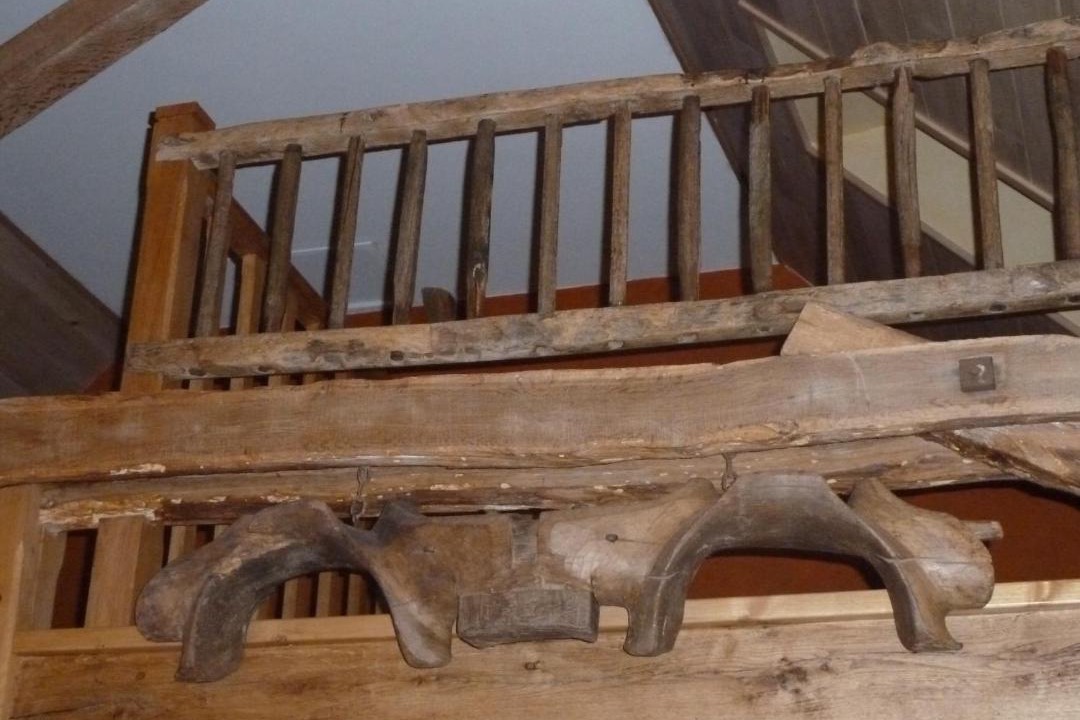 Photo of Others in Laguepie